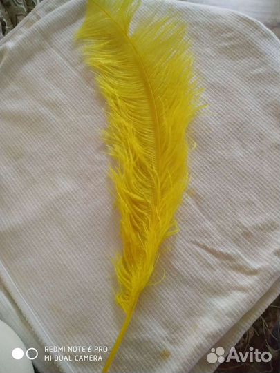 Перо страуса цвета разные