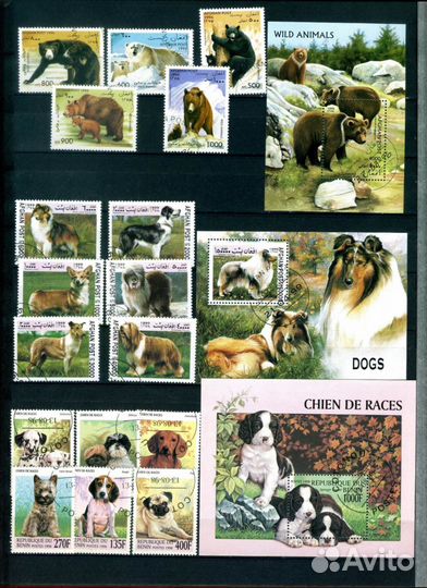 Фауна-часть 8