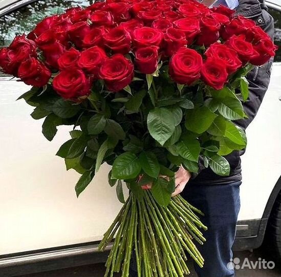 Высокие Розы с Доставкой