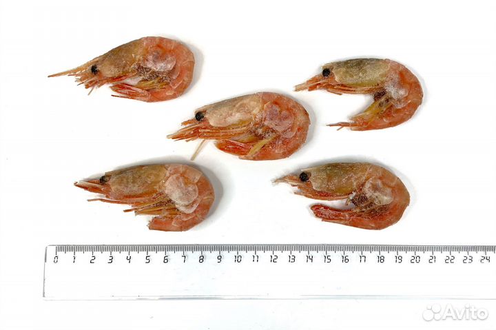 Креветки северные 50/70, Китай