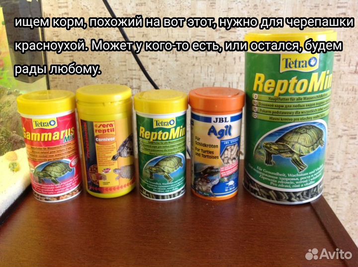 Корм для черепах
