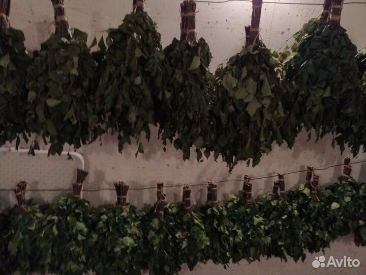 Веники для бани, сауны, парилки