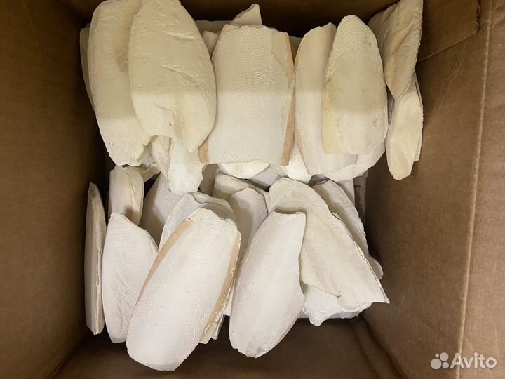 Сепия панцирь каракатицы (не соленая )