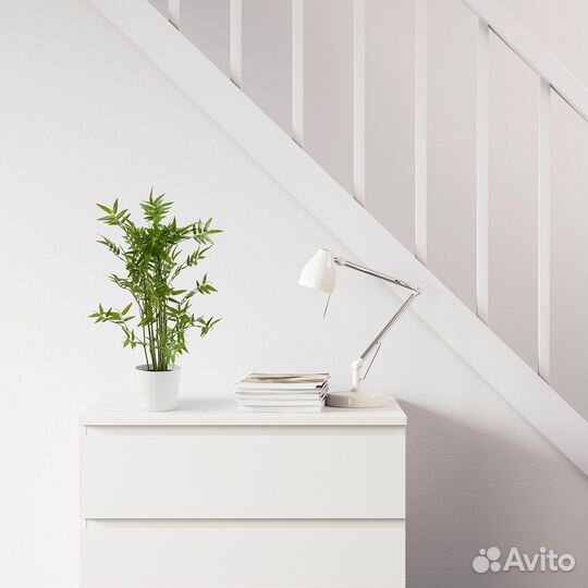 Искусственное растение в горшке Бамбук Фейка Икеа