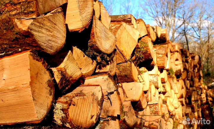 Дрова в Сертолово