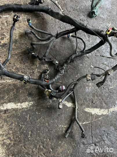 Daewoo nexia N150 жгут проводов на эбу