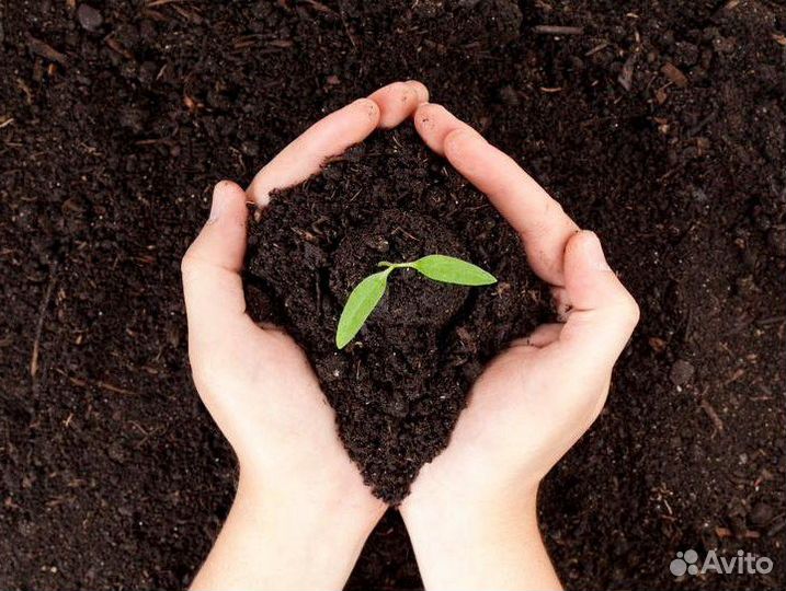 Растительный грунт