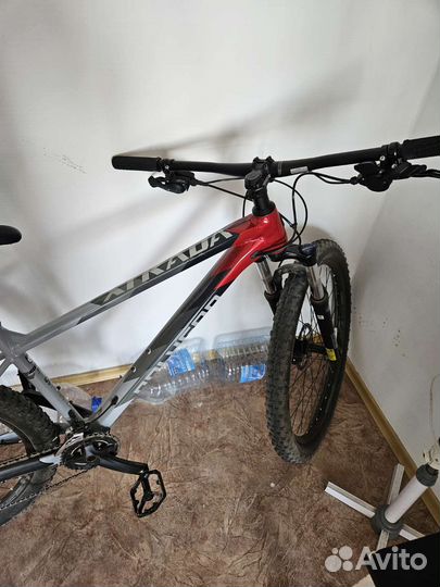 Polygon xtrada 5 2022