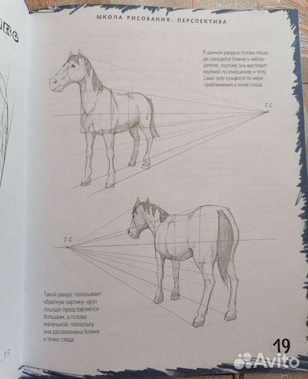 Книга Школа рисования