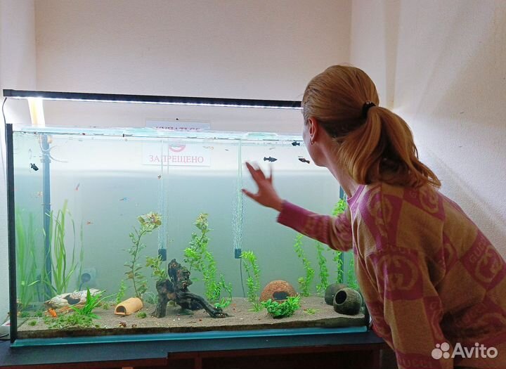 Зооняня, присмотрю за домашними животными