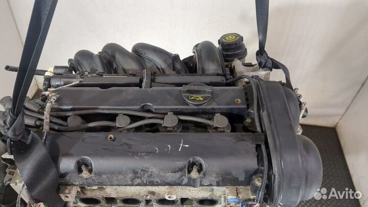 Двигатель Ford Focus 2 shda, shdc 1.6 Бензин, 2008