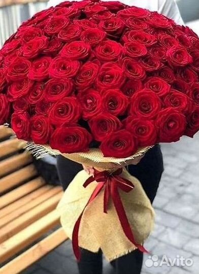 Высокие розы