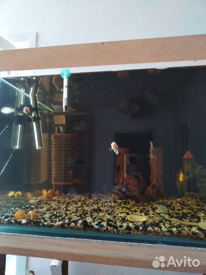 Продам Аквариум