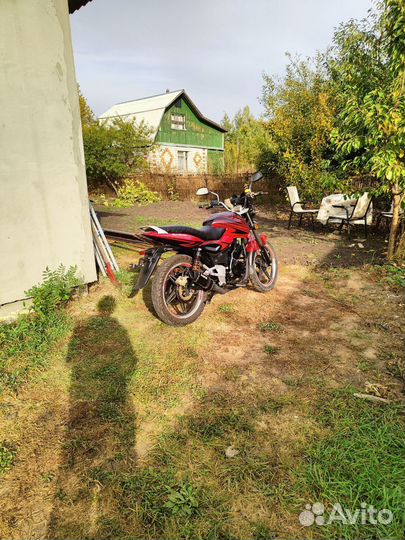 Racer Magnum RC250-C5B