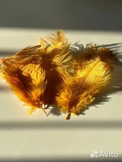 Перья для декора 3 шт