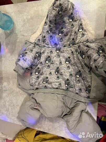 Зимний комбинезон для маленькой собаки