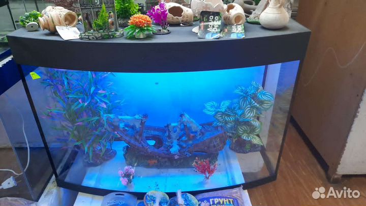 Аквариумы и террариумы готовые и под заказ