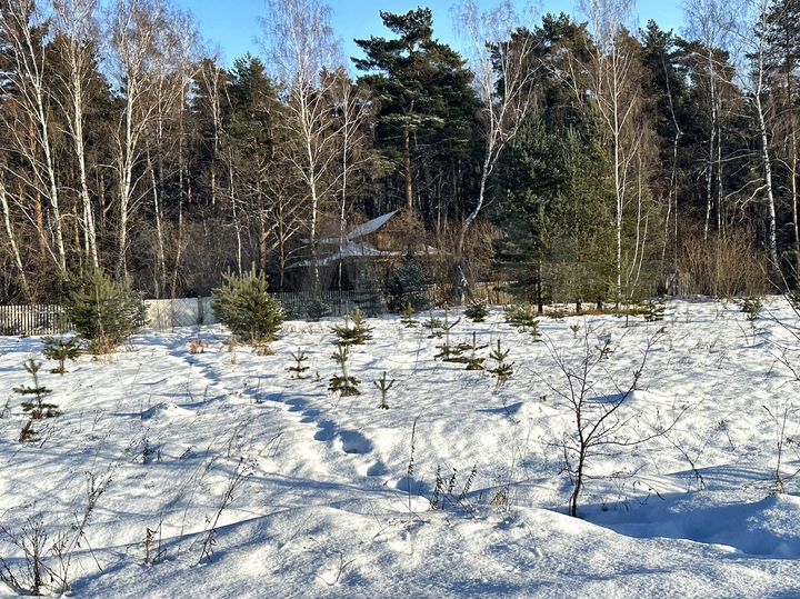 Участок 7 сот. (ИЖС)