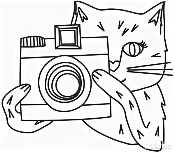 Помощник фотографа