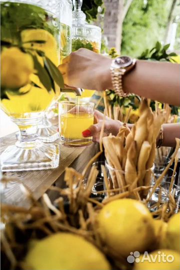 Лимонадник 