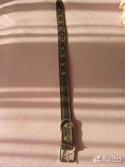 Ошейник для собак