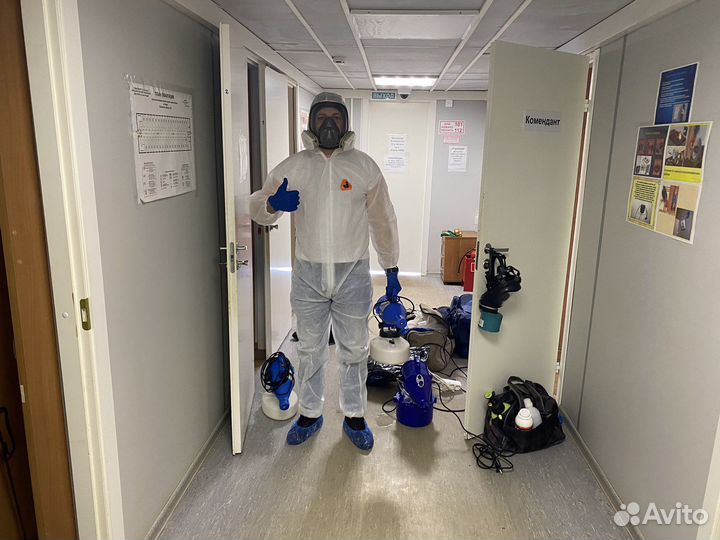 Уничтожение тараканов, клопов, а также запахов