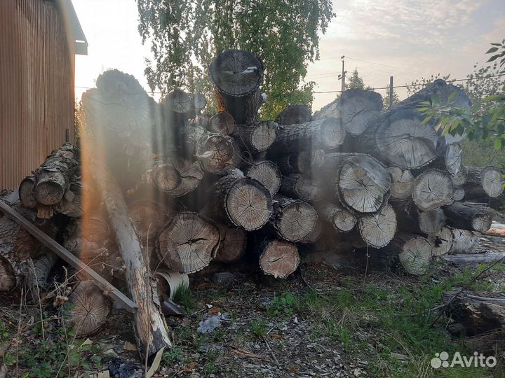 Бревна тополь сухие