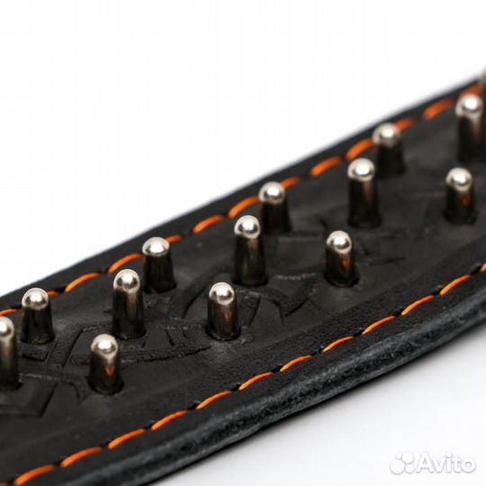 Ошейник кожаный двухслойный клёпаный 'Ёж', 65 х 3