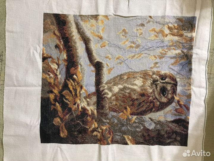 Сова холст