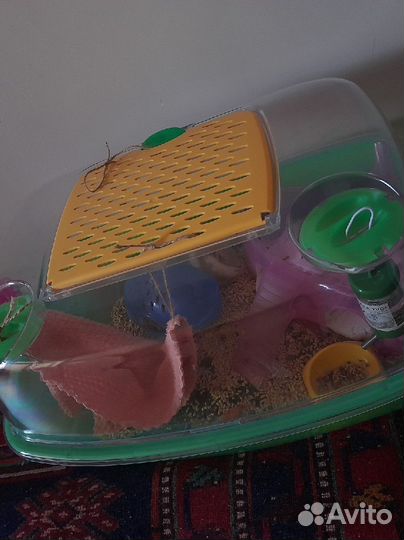 Клетка для грызунов