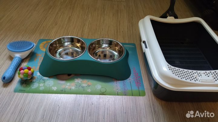 Передержка одного кота, кошки,выезд к собачкам