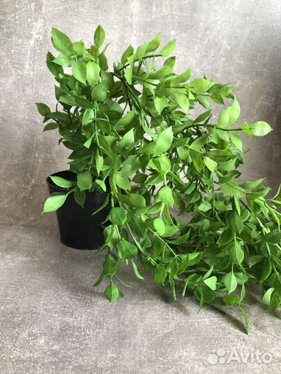 Искусственное растение в горшке