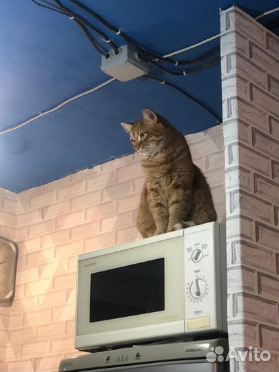 Услуги электрика