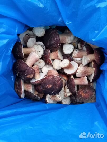 Белые грибы замороженные