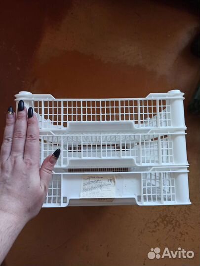 Корзина (ящик) для хранения овощей, ягод