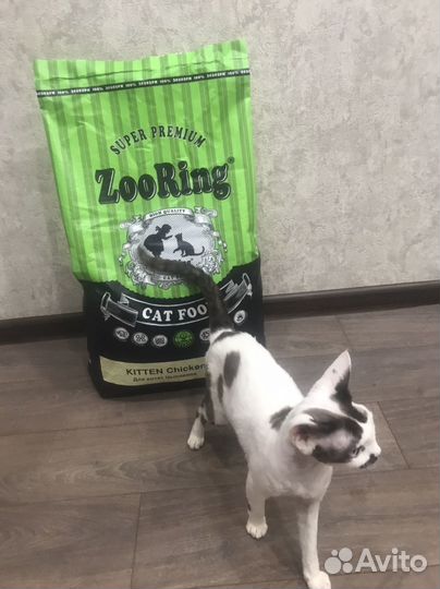 Сухой корм ZooRing Chicken 10кг для кошек и котят