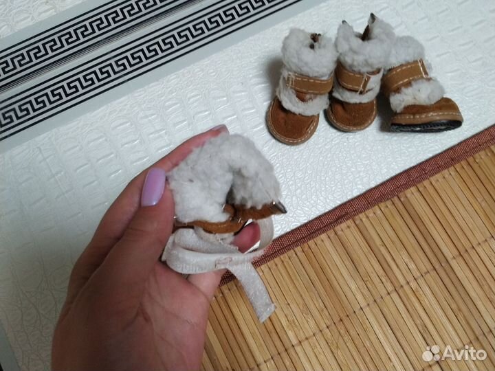 Обувь для маленьких собак