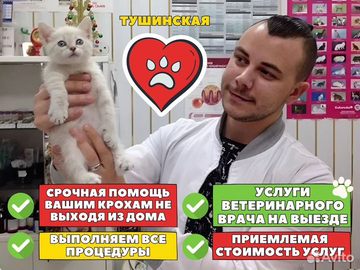 Ветеринарный врач