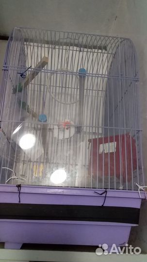 Продается клетка для птиц
