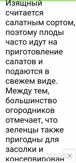 Рассада огурцов, томатов, острого перца