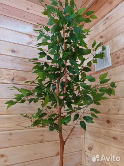 Искусственное дерево фикус,доставка бесплатно