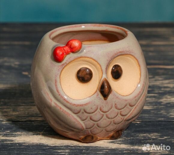 Керамические горшки для цветов и суккулентов