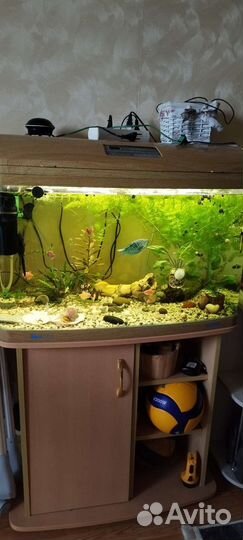 Аквариум