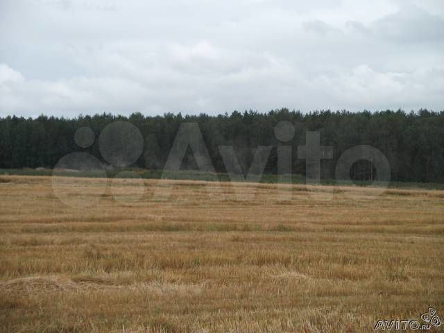 Участок 1,08 га (СНТ, ДНП)