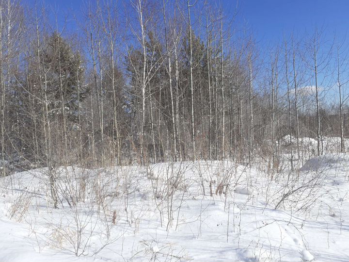 Участок 10 сот. (СНТ, ДНП)