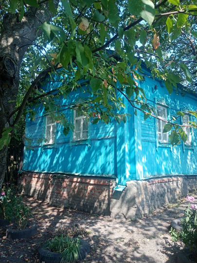 Дом 40 м² на участке 50 сот.