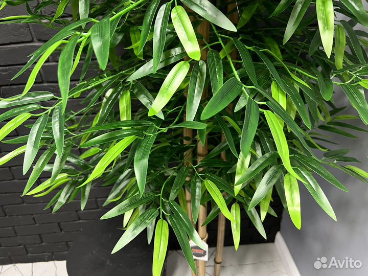 Бамбук искусственный, искусственные деревья Фикус