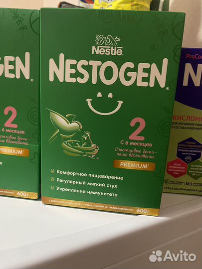 Нестожен 2 премиум