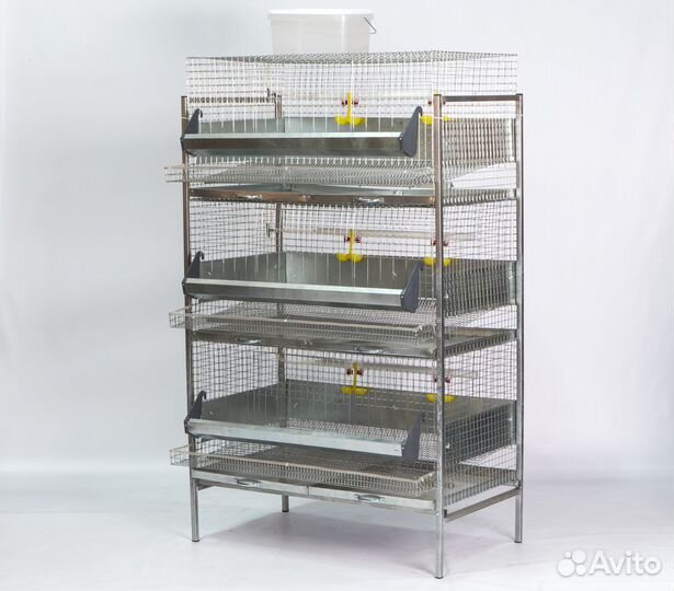 Клетка для 30 кур-несушек «Премиум»