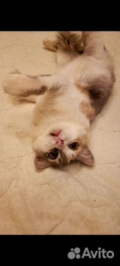 Матильда 9 мес